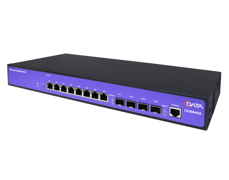 cs3084gs 03
