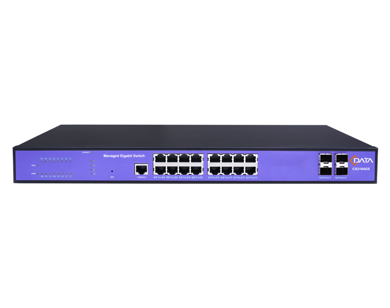 cs3164gs 01